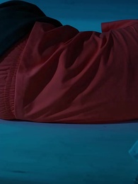 Episodio 1 - [Doppiato]L'Erede della Vendetta