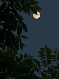 Beauty Beyond Looks - Episode 28