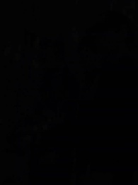 ตอนที่ 61 - พันธะรักต้องห้าม