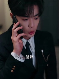 第46集 - 正在送快遞呢,被幫派大小姐拉去閃婚