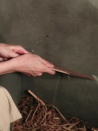 My Bandit Husband Is the Emperor - Episode 45