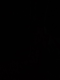 ตอนที่ 54 - พันธะรักต้องห้าม