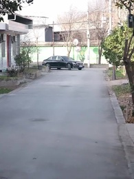 正在送快遞呢，被幫派大小姐拉去閃婚 - Episode 1