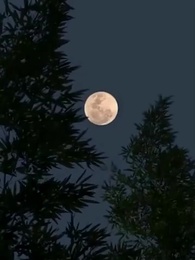 Falsche Tür, Wahres Glück - Episode 34