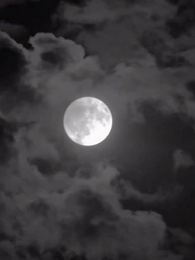 Episodio 39 - [Doblado]La Verdadera Reina: El Escenario es Mío