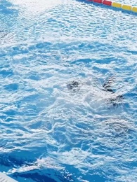 Episodio 7 - Verità a Galla