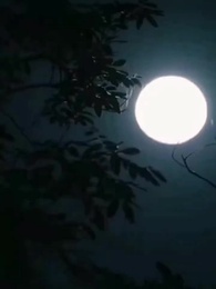 La sombra que la sigue - Episode 1