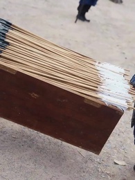 Veliaht'ın Sırrı - Episode 56