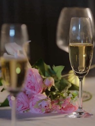 Episodio 17 - Marcada por 4 Hermanos Alfa