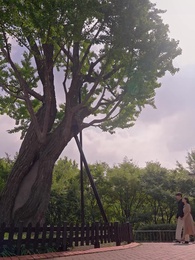 닥터 루시퍼 - Episode 49