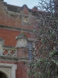 Episodio 2 - Marcada por 4 Hermanos Alfa