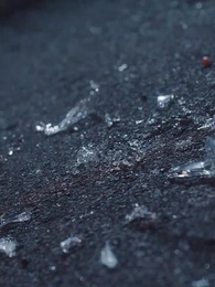 Épisode 8 - La Branche qui Renaît de la Nuit