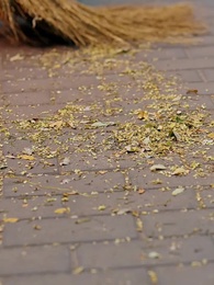 第1話 - 母の愛のゆえに