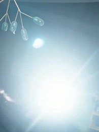 Episode 71 - Against Prejudice: David's Piano Triumph