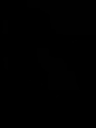 الحلقة 37 - الرفيقة غير المرغوب فيها