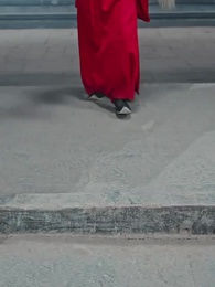 الحلقة 42 - عودة الإوزّ إلى الجنوب