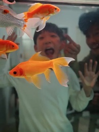 Against Prejudice: David's Piano Triumph - Episode 57