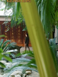 Bölüm 35 - Sadakat ve İhanet!