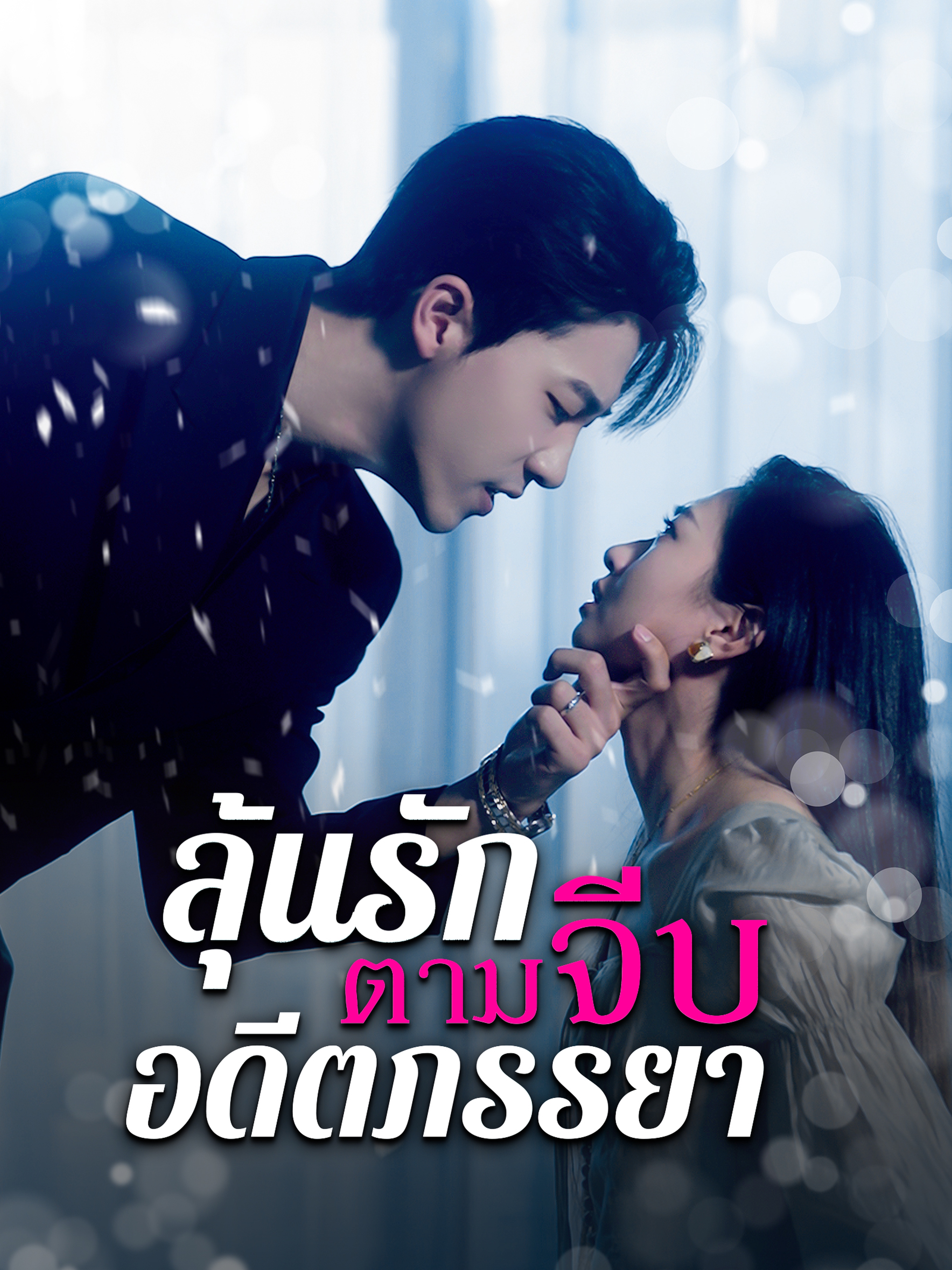 ลุ้นรักตามจีบอดีตภรรยา
