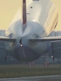 Episodio 40 - [Doblado]Hemos Renacido