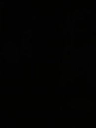 الحلقة 75 - الرفيقة غير المرغوب فيها