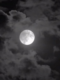 第39話 - 本物のチアクイーン、奪われたステージへ