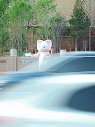 Against Prejudice: David's Piano Triumph - Episode 22