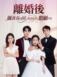 離婚後厲社長は戻ってくるように懇願する