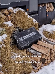 نهاية العالم المتجمدة: أمتلك قلعة متحركة، فمن يخيفني؟ - Episode 34