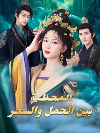 المحظية بين الحمل والسحر