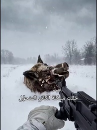 الحلقة 30 - نهاية العالم المتجمدة: أمتلك قلعة متحركة، فمن يخيفني؟