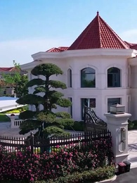 Tập 55 - [Lồng tiếng]Bản Tình Ca Sau Chấn Song