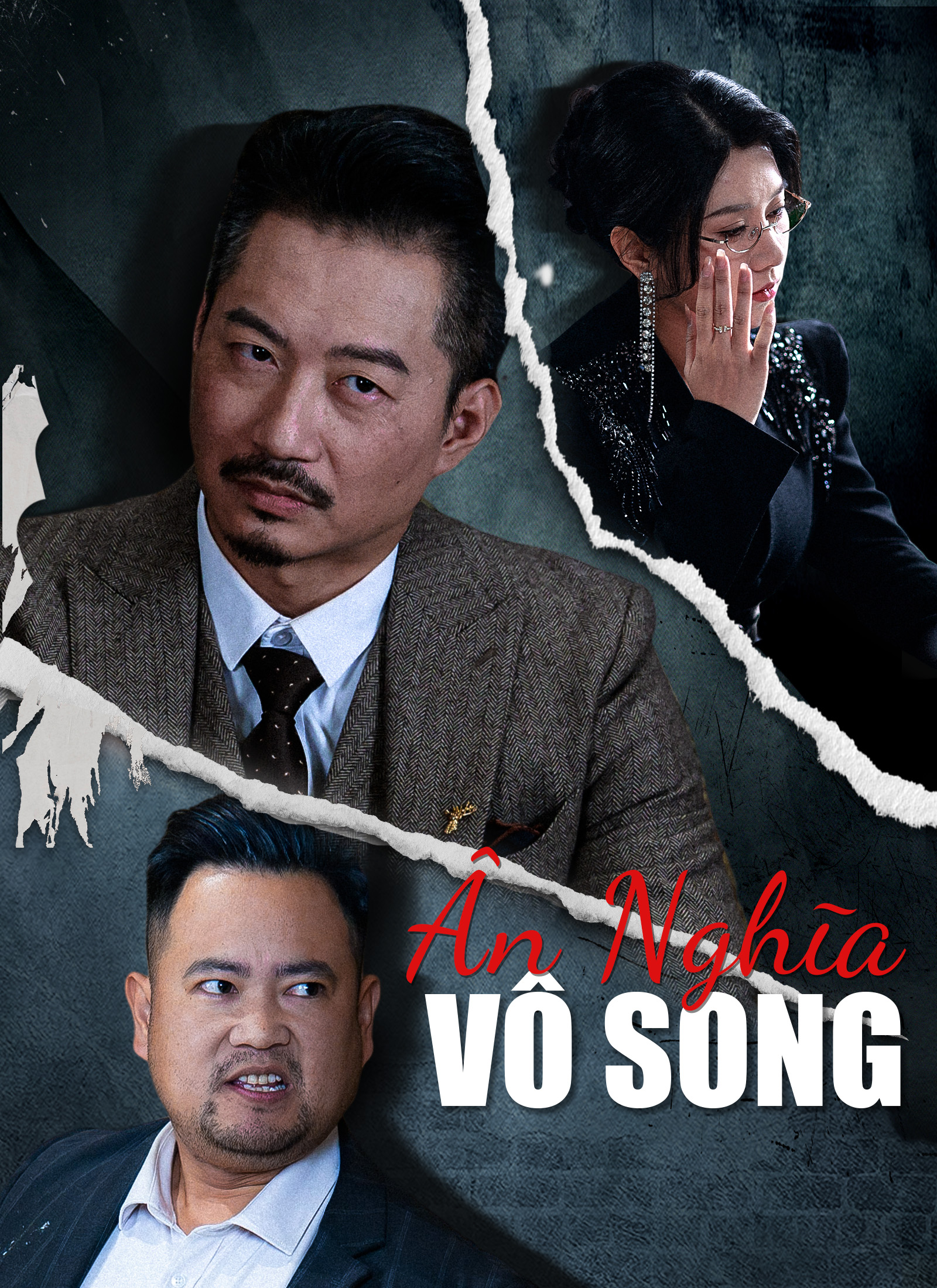 Ảnh bìa Ân Nghĩa Vô Song