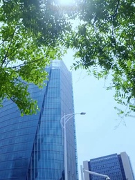 Серия 50 - Возвращение, которого не будет