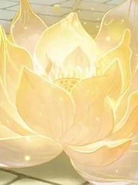 第31集 - 人在娘胎：無限頓悟，出世即聖人