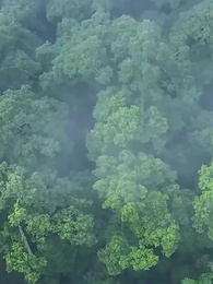 ตอนที่ 11 - [พากย์ไทย]ดาร์ค ลอร์ด