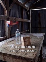 Episodio 21 - Vida feliz en el apocalipsis helado