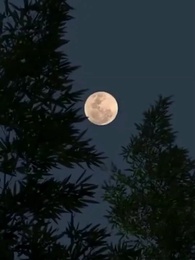 Mimpi Tanpa Belenggu - Episode 34