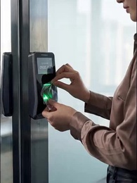 Episodio 11 - Vida feliz en el apocalipsis helado