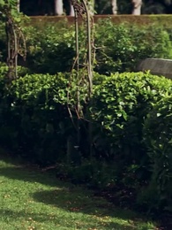 [Doublé]Mon Amour Réduit en Cendres - Episode 25