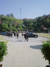 掌生緣滅 - Episode 29