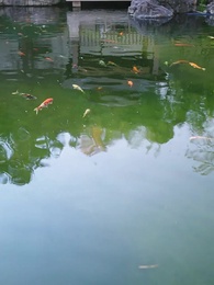 第45集 - 掌生緣滅