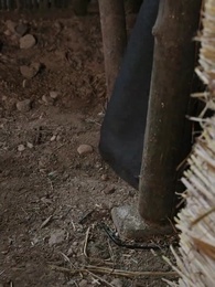 Episodio 32 - [Doblado]Renacer entre Sombras