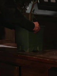 Episodio 30 - [Doblado]Renacer entre Sombras