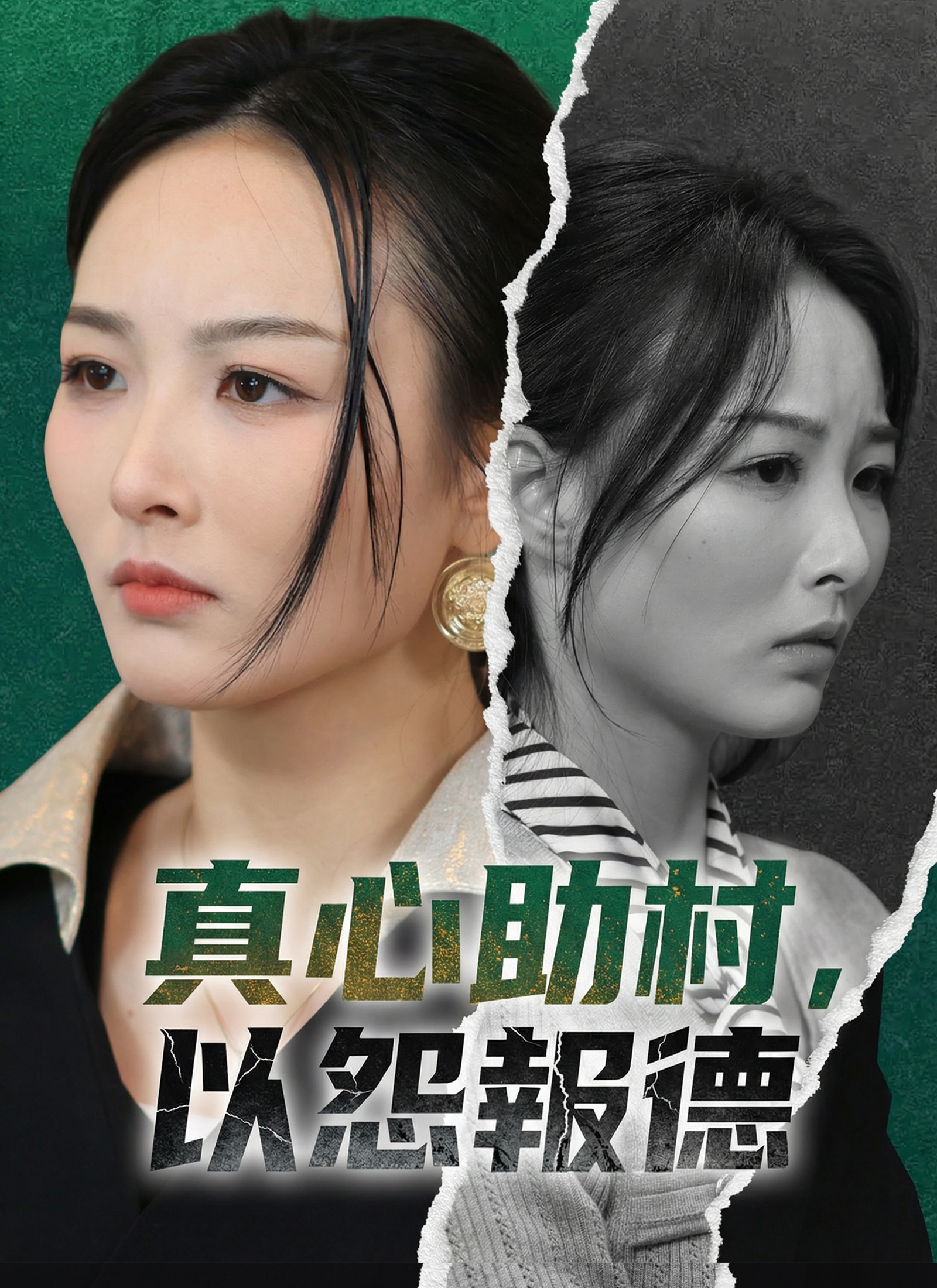 《真心助村,以怨報德》封面