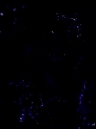 第6集 - 循環守護,情根深種