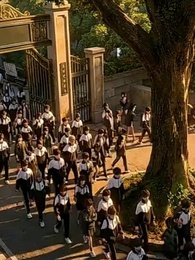 第54集 - 一紙錯婚,新娘竟是白月光