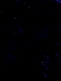 第4集 - 循環守護,情根深種