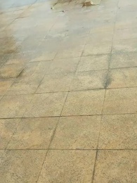 Episode 24 - A Fatal Decision