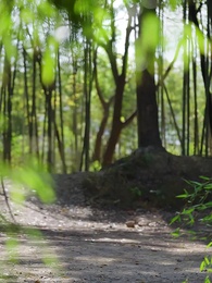 掌生緣滅 - Episode 25